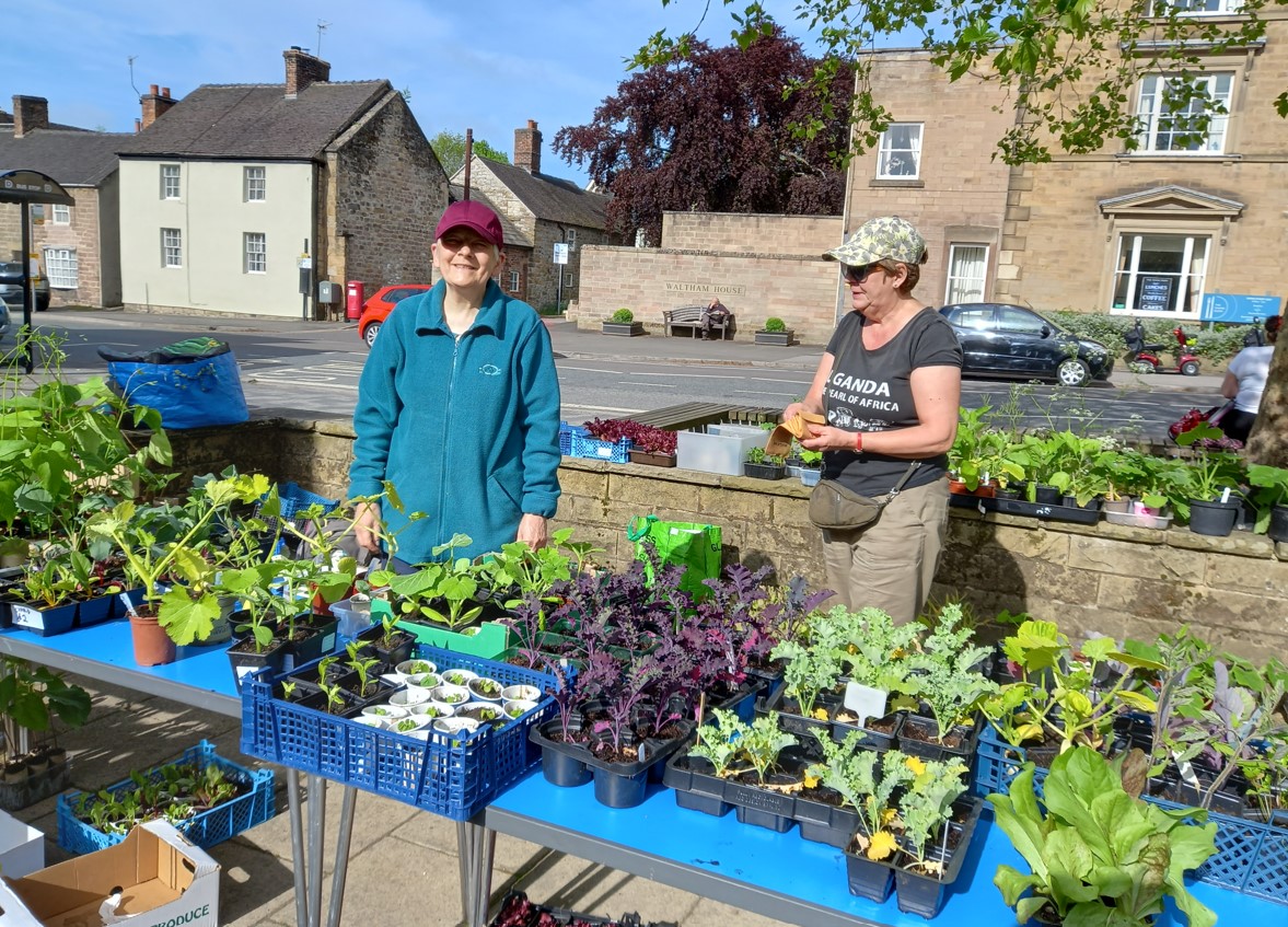 Aquabox Plant Sale Pic 1 2022 small