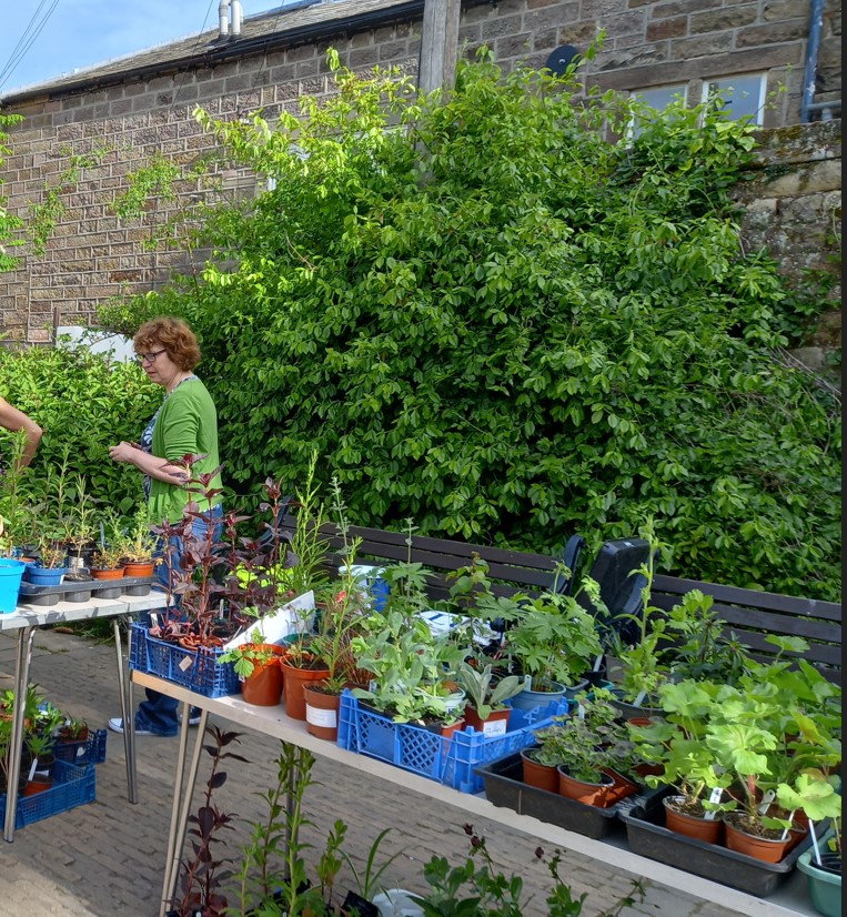 Aquabox Plant Sale Pic 2 2022 small