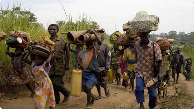 Cameroon Refugees