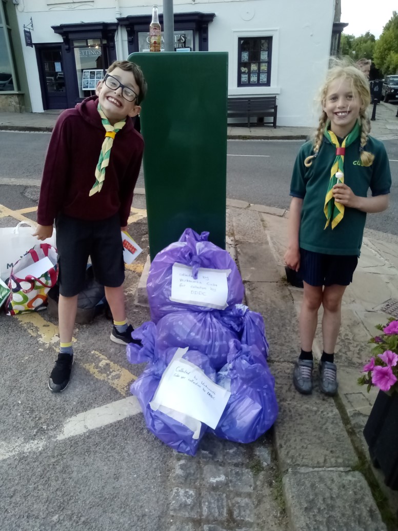 Cubs Litter Pick